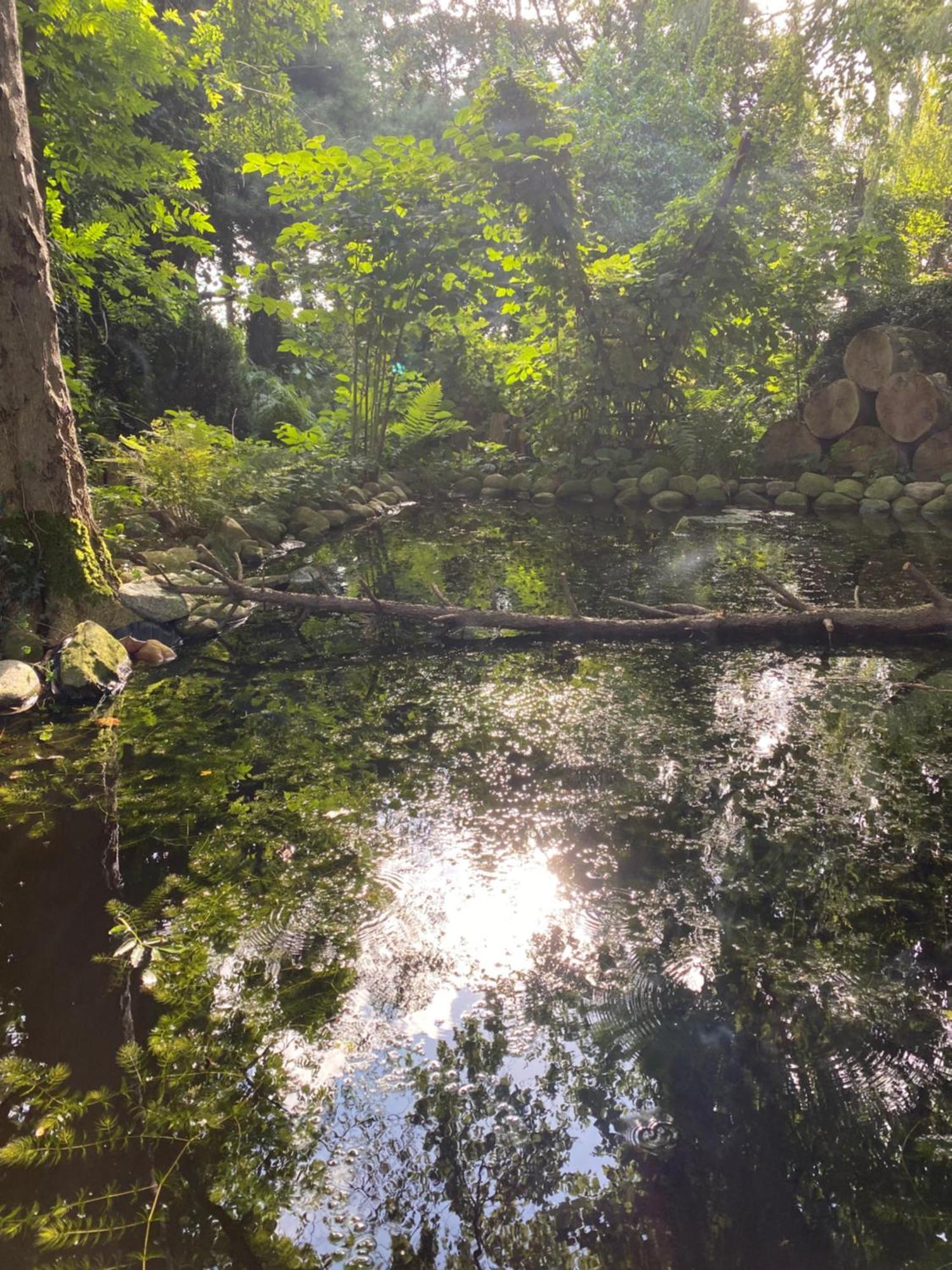 Auf Einem Resthof Zentral Gelegen Mit Viel Und Tieren